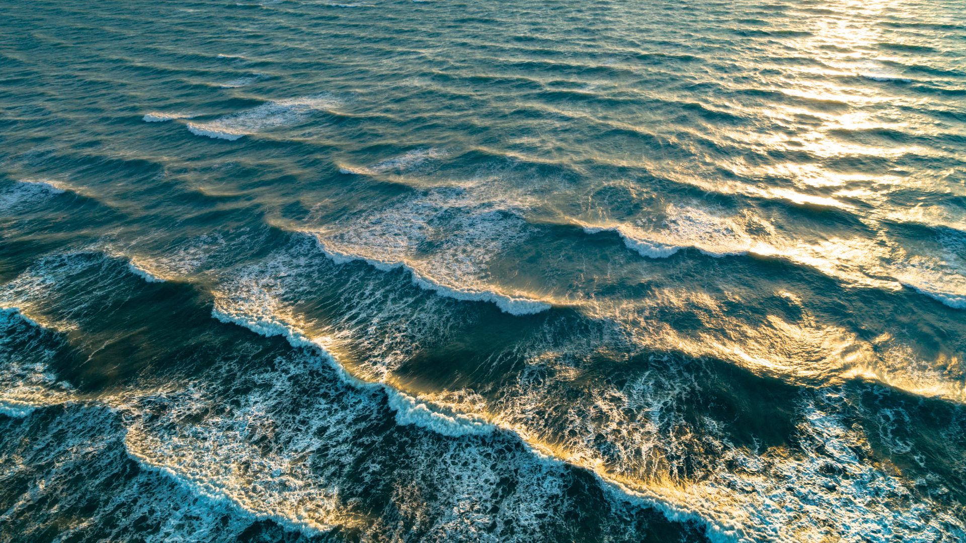 vivirtuluzsea